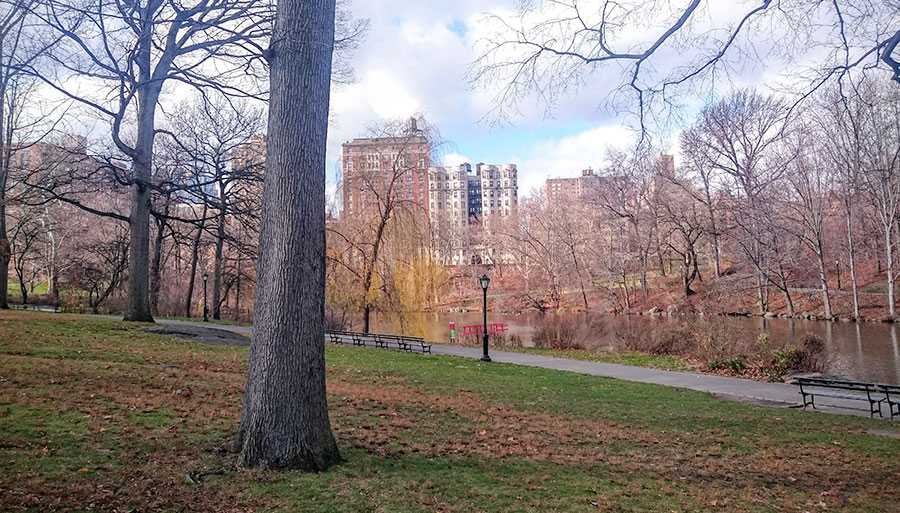 Central Park, New York - December 2015